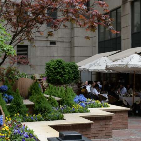 Click to view a popup image of people dining outdoors